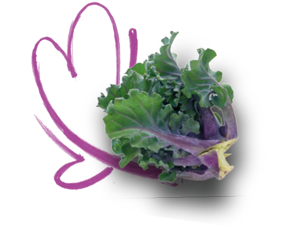 Zubereitung
